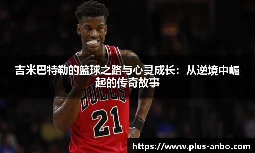 安博体育登录入口